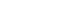 Hawk:AI